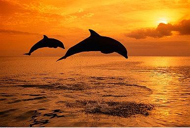 开放世界生存建造游戏《求生岛：不老泉传说》 现已推出1.0正式版