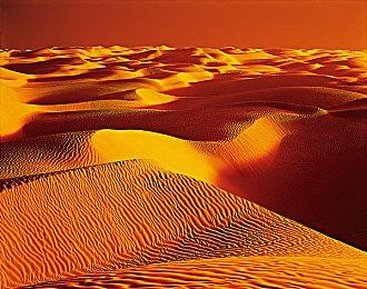 《天国：拯救2》新截图 游戏中有各种技能的马儿